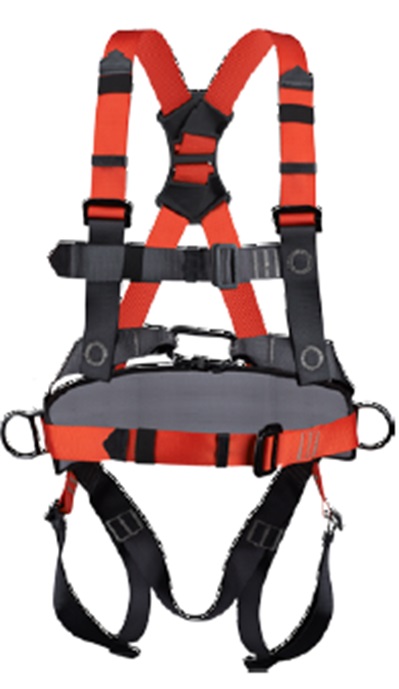 ריתמת בטיחות מקצועית PALOMA