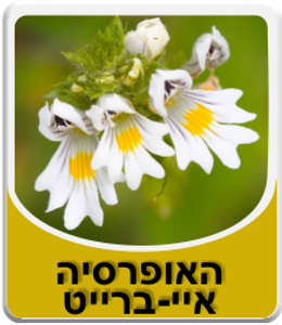 האופרסיה | חליטת צמחים | מכיל 50 גרם | הרבה סנטר