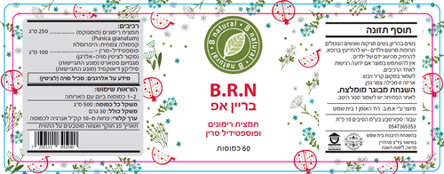 B.R.N בריין אפ (בריינאפ)