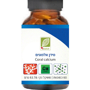 סידן אלמוגים
