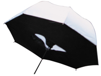 Provision - Creative Light מטריית Soft Box אור ישיר 102 ס״מ