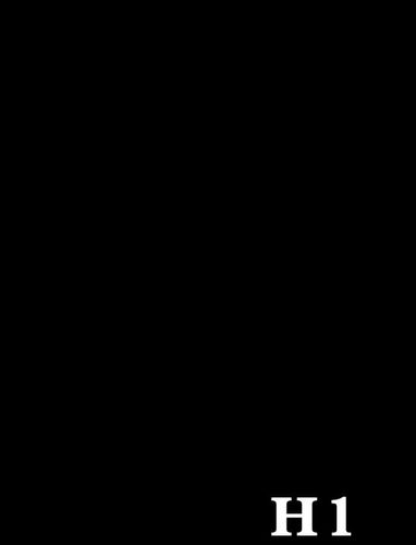 Provision - Creative Light רקע בד מקצועי שחור H-1