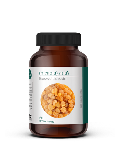 Boswellia resin | לבונה (בוסווליה)