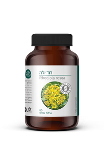 טבליות רודיולה | Rhodiola rosea