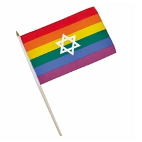 דגל גאווה עם מגן דוד 30/45 ס