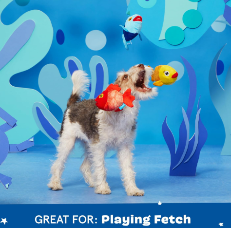 משחק לכלב בובת בארק שלישיית דגיגים - BARK Dog Toy The Groupers Fish School Squeaky Toy 
