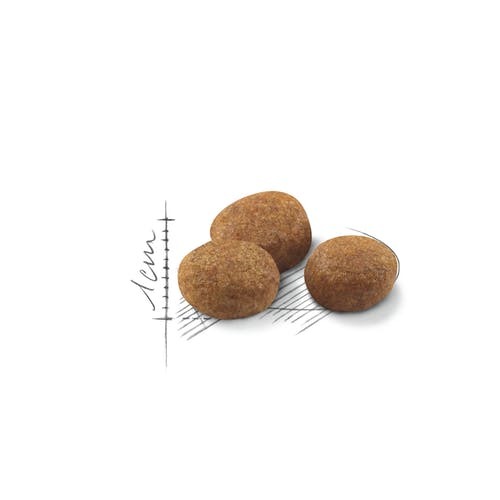 רויאל קנין לחתול סטרילייז (7+) 3.5 ק
