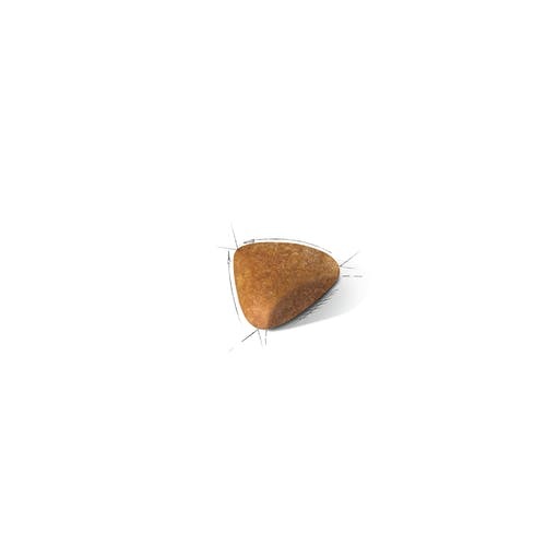רויאל קנין לחתול מגזע ספינקס 2 ק