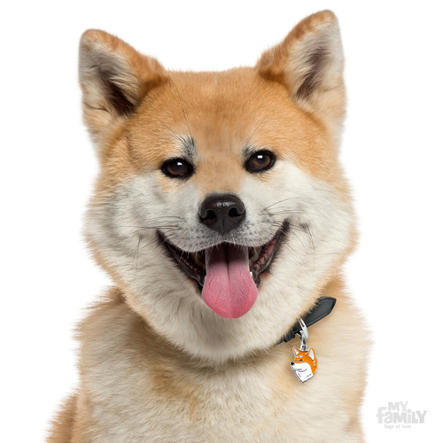 תג שם כלב אקיטה AKITA INU