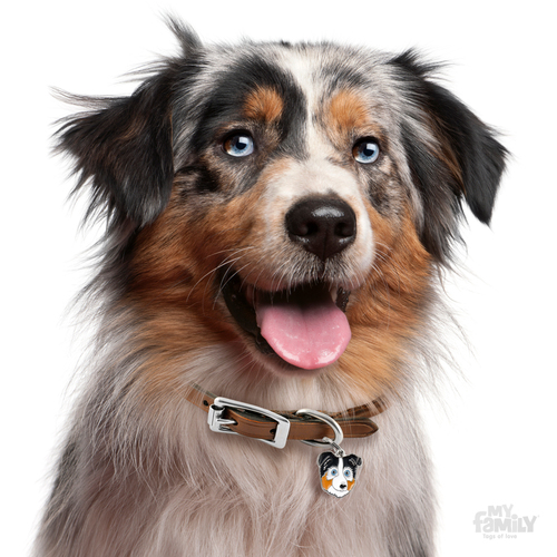 תג שם כלב רועה אוסטרלי AUSTRALIAN SHEPHERD