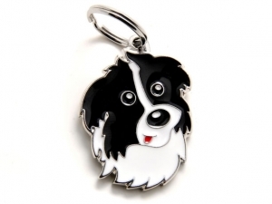תג שם כלב בורדר קולי BORDER COLLIE