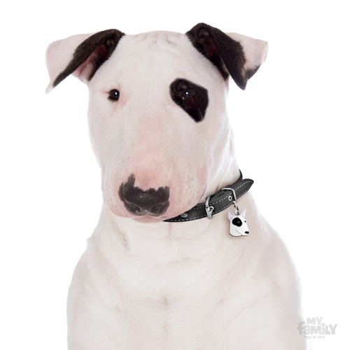 תג שם כלב בול טרייר לבן  BULL TERRIER WHITE