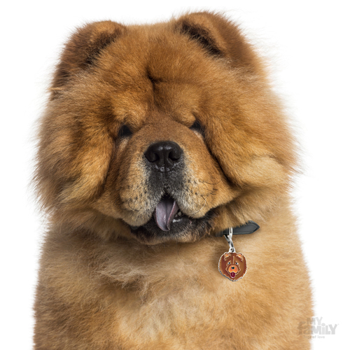 תג שם כלב  צ'או צ'או CHOW CHOW