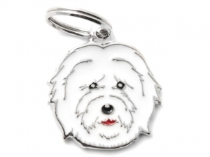 תג שם כלב  קוטון דה טולייר COTON DE TULEAR