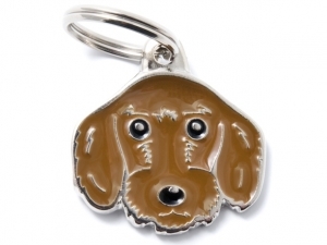 תג שם כלב  תחש ארוך שיער ( גרמני) חום GERMAN DACHSHUND BROWN