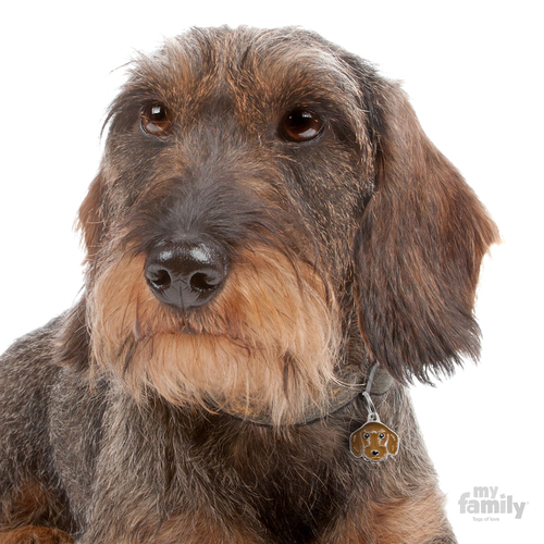 תג שם כלב  תחש ארוך שיער ( גרמני) חום GERMAN DACHSHUND BROWN
