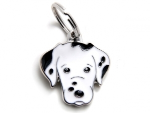 תג שם כלב דלמטי DALMATIAN