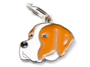 תג שם כלב פוינטר אנגלי ENGLISH POINTER