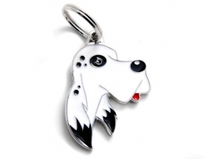תג שם כלב סטר אנגלי ENGLISH SETTER