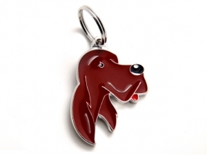 תג שם כלב סטר אירי IRISH SETTER