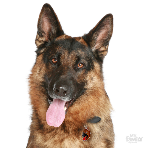 תג שם כלב רועה גרמני GERMAN SHEPHERD