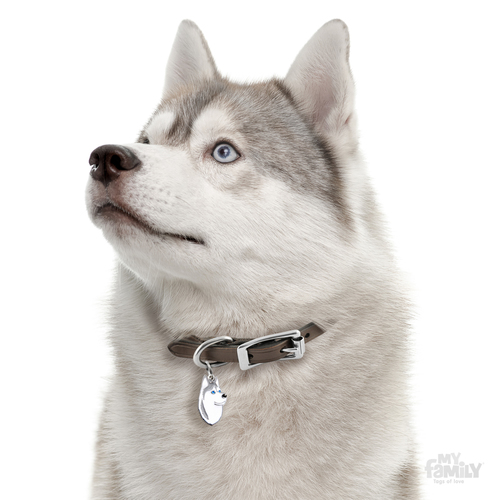תג שם כלב תג שם האסקי סיברי SIBERIAN HUSKY
