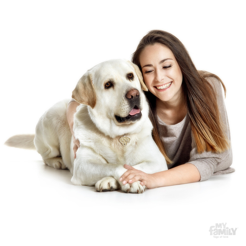 תג שם כלב לברדור  CREAM LABRADOR