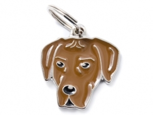 תג שם כלב רידג'בק RHODESIAN RIDGEBACK