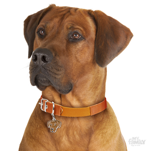 תג שם כלב רידג'בק RHODESIAN RIDGEBACK