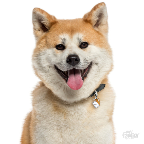 תג שם כלב שיבה אינו SHIBA INU