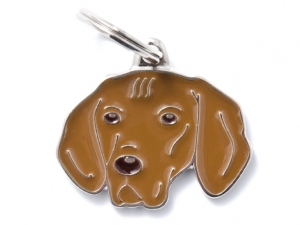 תג שם כלב ויסלה VIZSLA