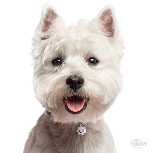 תג שם כלב וסט היילנד וייט טרייר WEST HIGHLAND WHITE TERRIER