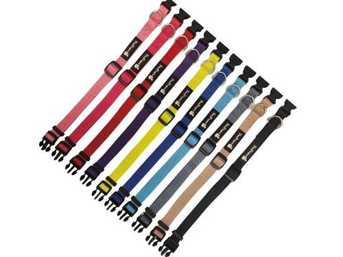 קולר בייסיק | Pets Project Basic Pet Collar