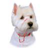 Halti Dog Head Collar -הלטי ריתמת ראש מידה 1