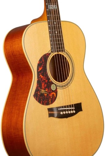 זוית נוספת maton ebg808te-lh amplified acoustic guitar