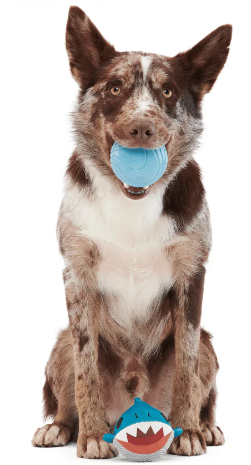 משחק לכלב בארק צעצוע נסתר כריש - BARK Great White Dwight Dog Toy