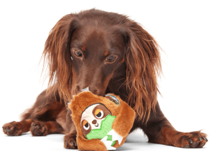משחק לכלב בארק צעצוע נסתר סוני העצלן - BARK Sonny The Sloth Dog Toy