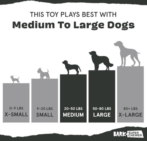 משחק לכלב בארק צעצוע נסתר פרת משה רבינו - BARK Super Chewer Lady Bugsy Squeaky Dog Toy
