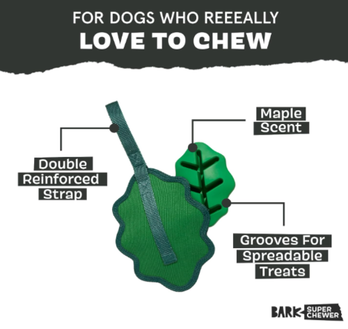 משחק לכלב בארק צעצוע עלה לעיס - BARK Green Chew Leaf Maple Scented With Hidden Reinforced Nylon Strap For Tugging