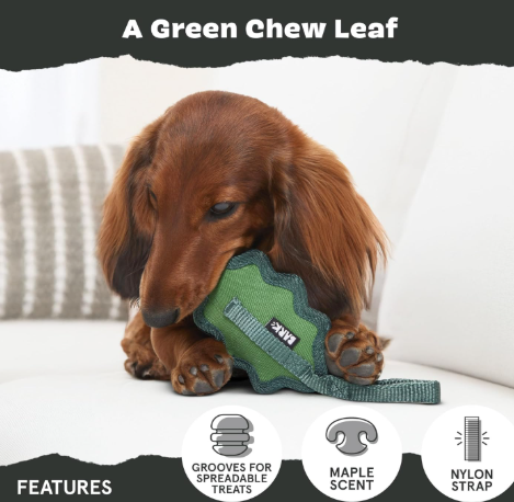 משחק לכלב בארק צעצוע עלה לעיס - BARK Green Chew Leaf Maple Scented With Hidden Reinforced Nylon Strap For Tugging