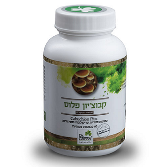 קבוצ'יון פלוס ד