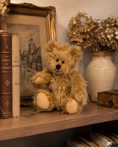 בובת TEDDY BEAR טדי הדב 47430G