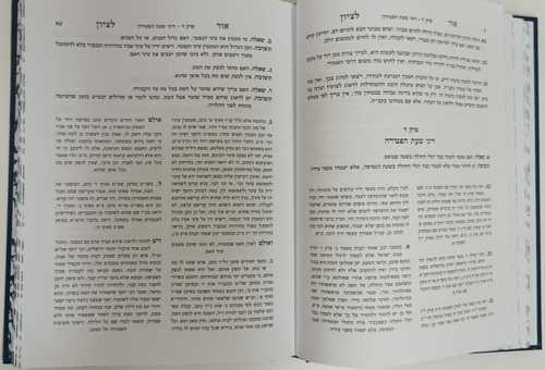 אור לציון - אבלות