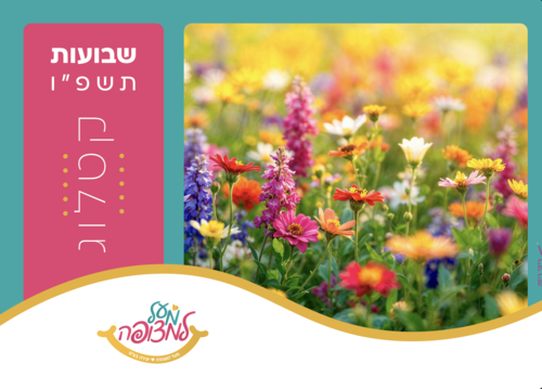 קטלוג שבועות 