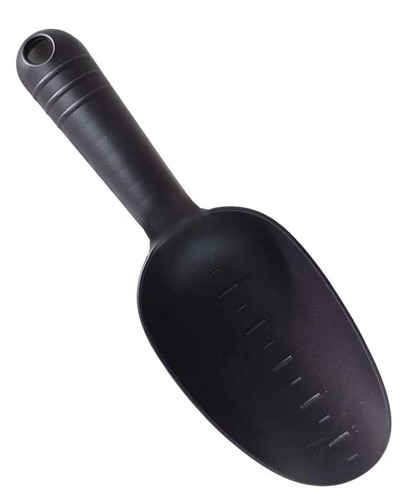 חציל