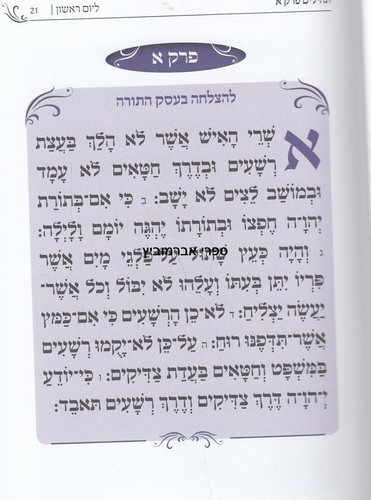 תהלים תכלת וארגמן בינוני