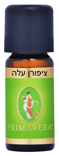 שמן ציפורן עלה | 10 מ