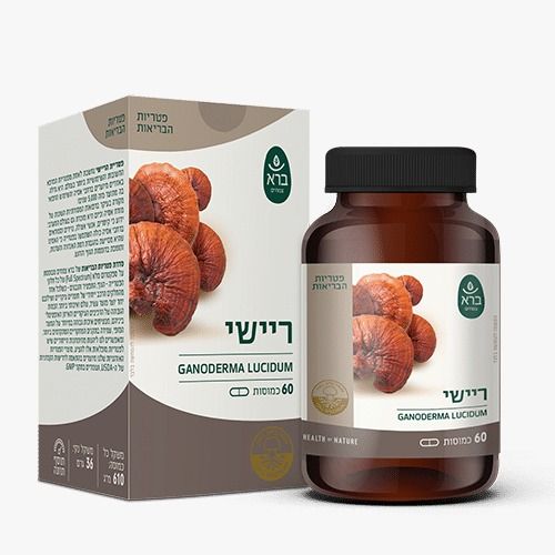 ברא- ריישי GANODERMA LUCIDUM | מכיל 60 כמוסות |