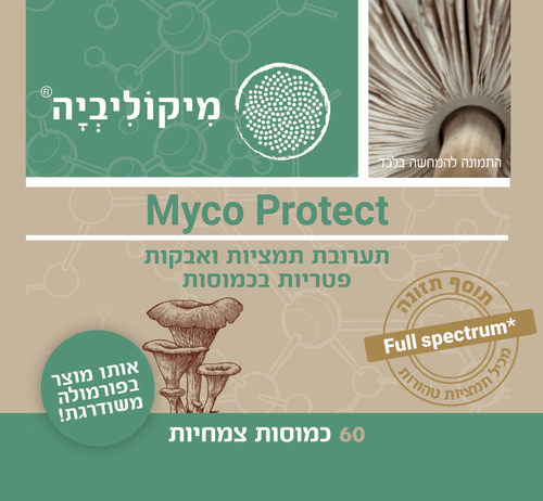 מיקו פרוטקט | תערובת תמציות ואבקות פטריות בכמוסה | מכיל 60 כמוסות | מיקוליביה