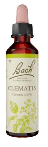 CLEMATIS | טיפות לשתייה על בסיס תמציות פרחי באך | מכיל 20 מ